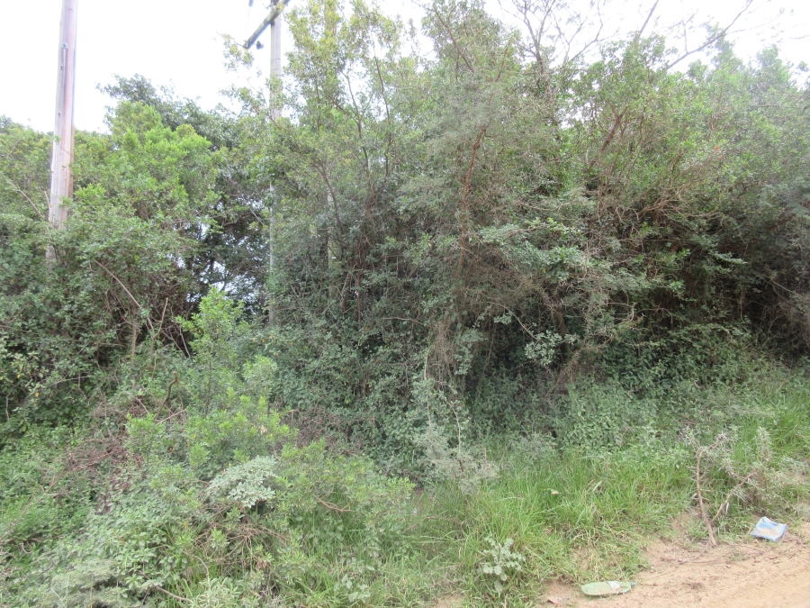 0 Bedroom Property for Sale in Bathurst Eastern Cape